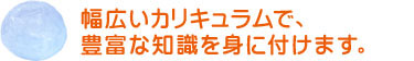 幅広いカリキュラムで、豊富な知識を身に付けます。