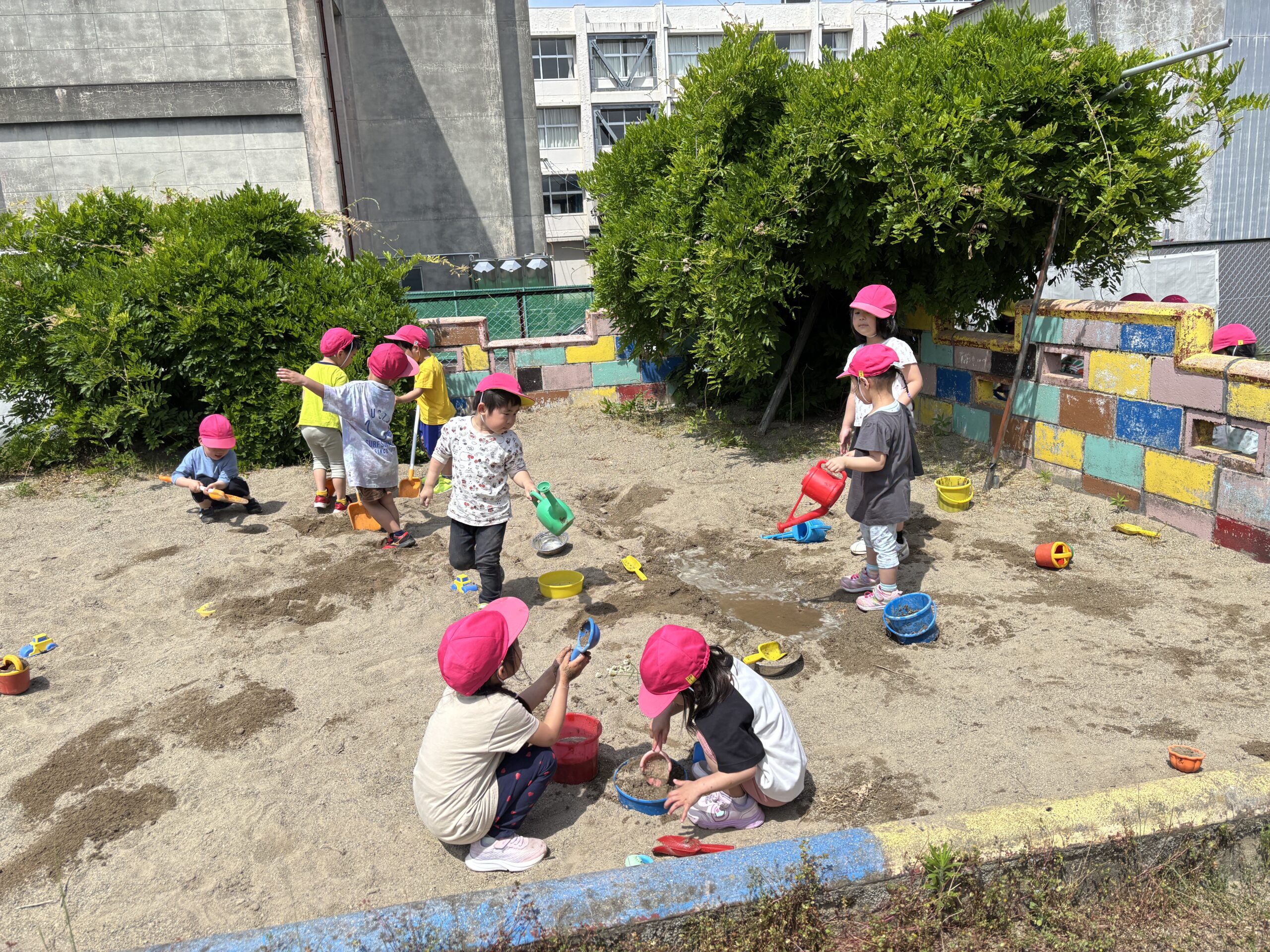 広い砂場で遊ぶの楽しい（ばら組）